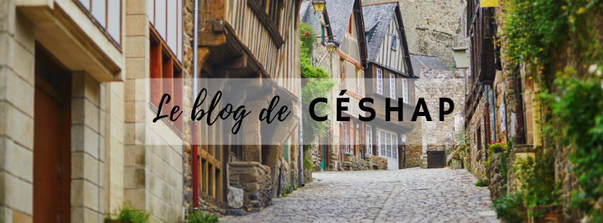 Le blog de ceshap page accueil